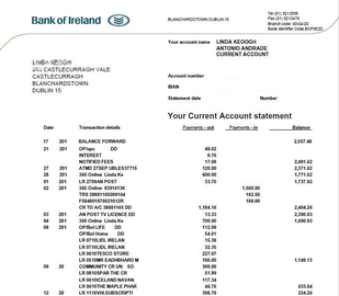 Выписка со счета приглашающего лица за последние 6 месяцев для несовершеннолетних на визу в Ирландию